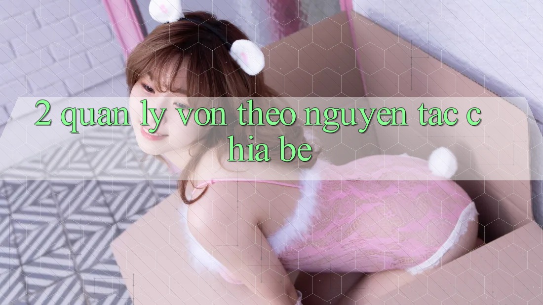 2. Quản Lý Vốn Theo Nguyên Tắc Chia Bé 2. Quản Lý Vốn Theo Nguyên Tắc Chia Bé