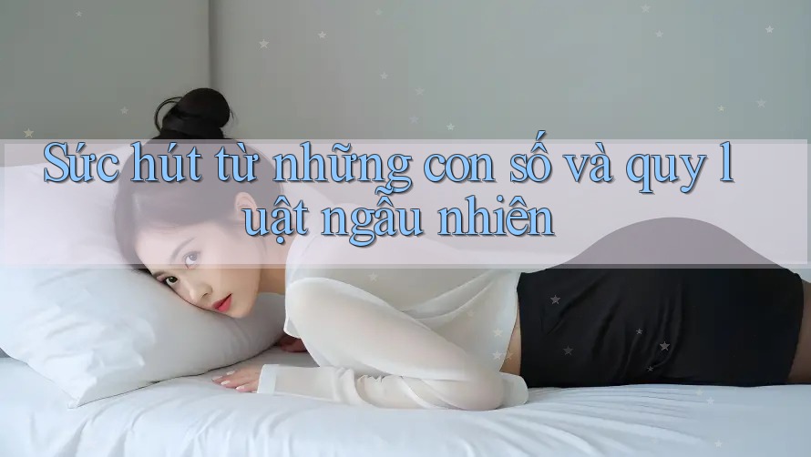 Sức hút từ những con số và quy luật ngẫu nhiên