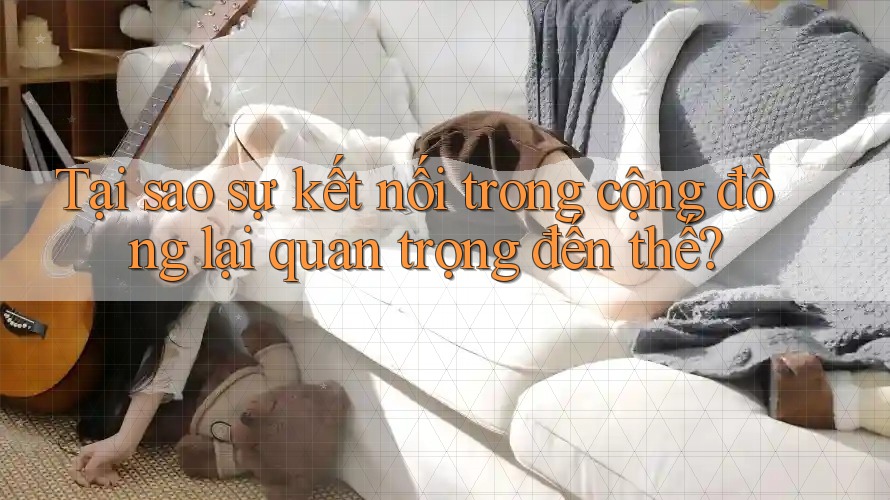 Tại sao sự kết nối trong cộng đồng lại quan trọng đến thế? Tại sao sự kết nối trong cộng đồng lại quan trọng đến thế?