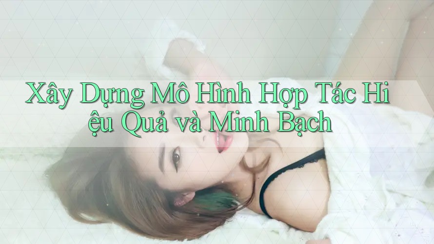 Xây Dựng Mô Hình Hợp Tác Hiệu Quả và Minh Bạch