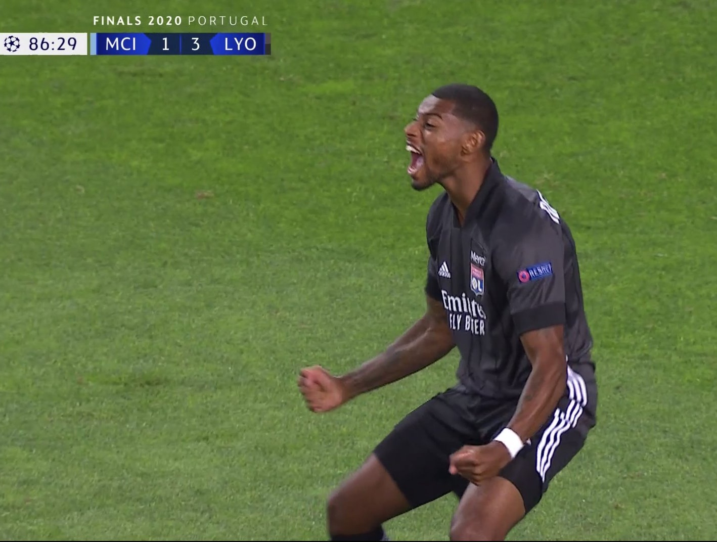 对森林狼这 对森林狼这